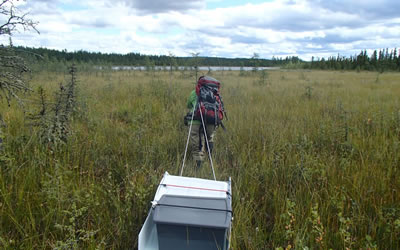 One of us wades through boreal forest fens pulling equipment and samples (Photo: Jacqueline Dennett)